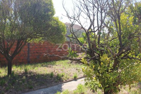 Villa a Lavos, Coimbra, Lavos - € 290.000 | Ref: ZMPT568570 - foto 38