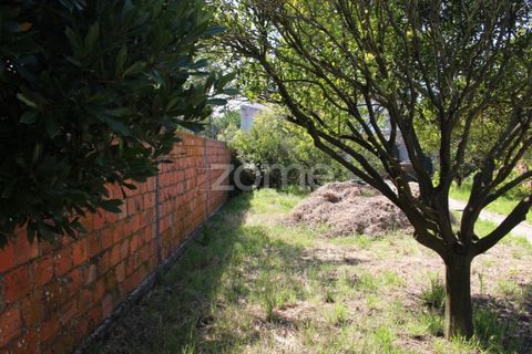 Villa a Lavos, Coimbra, Lavos - € 290.000 | Ref: ZMPT568570 - foto 39
