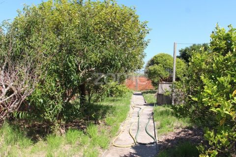 Villa a Lavos, Coimbra, Lavos - € 290.000 | Ref: ZMPT568570 - foto 40