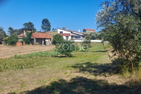 Helårsgrund i Pombal, Leiria, Pombal - € 40.000 | Ref: ZMPT568482 - foto 16