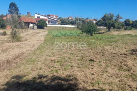 Helårsgrund i Pombal, Leiria, Pombal - € 40.000 | Ref: ZMPT568482 - foto 1