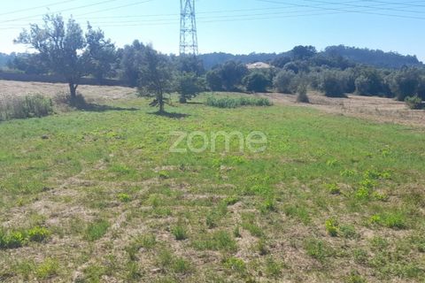 Helårsgrund i Pombal, Leiria, Pombal - € 40.000 | Ref: ZMPT568482 - foto 2