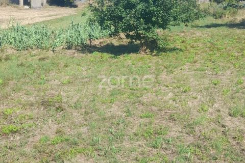 Helårsgrund i Pombal, Leiria, Pombal - € 40.000 | Ref: ZMPT568482 - foto 9