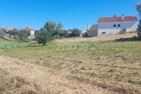 Helårsgrund i Pombal, Leiria, Pombal - € 40.000 | Ref: ZMPT568482 - foto 10