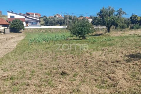 Helårsgrund i Pombal, Leiria, Pombal - € 40.000 | Ref: ZMPT568482 - foto 11