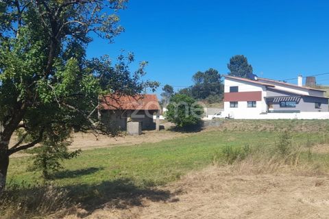 Helårsgrund i Pombal, Leiria, Pombal - € 40.000 | Ref: ZMPT568482 - foto 19