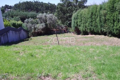 Terra a Luso, Aveiro, Luso - € 31.000 | Ref: ZMPT550601 - foto 2