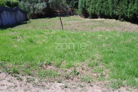 Terra a Luso, Aveiro, Luso - € 31.000 | Ref: ZMPT550601 - foto 6