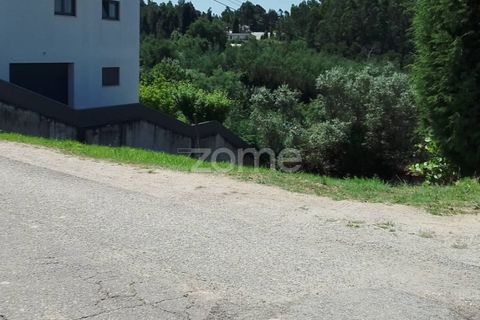 Terra a Luso, Aveiro, Luso - € 31.000 | Ref: ZMPT550601 - foto 10
