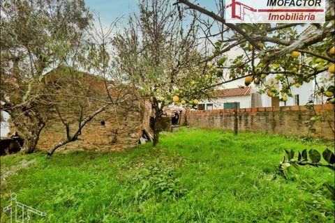 Villa a Castelo Branco, Castelo Branco, Castelo Branco - € 66.000 | Ref: 21-11846 - foto 8