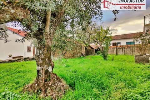 Villa a Castelo Branco, Castelo Branco, Castelo Branco - € 66.000 | Ref: 21-11846 - foto 9