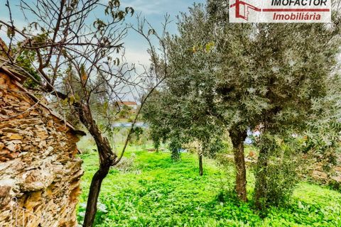 Villa a Castelo Branco, Castelo Branco, Castelo Branco - € 66.000 | Ref: 21-11846 - foto 10