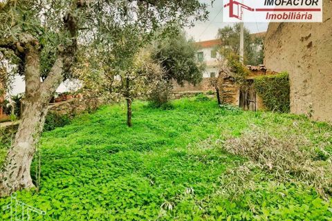 Villa a Castelo Branco, Castelo Branco, Castelo Branco - € 66.000 | Ref: 21-11846 - foto 11