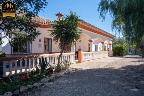 Villa a Los Gallardos, Almeria, Los Gallardos - € 390.000 | Ref: GAL6V02 - foto 43