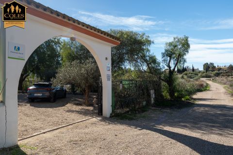 Villa a Los Gallardos, Almeria, Los Gallardos - € 390.000 | Ref: GAL6V02 - foto 50