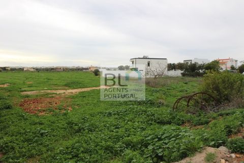 Terra a Conceicao e Estoi, Faro, Conceicao e Estoi - € 205.000 | Ref: BLMTRPAR_181 - foto 2