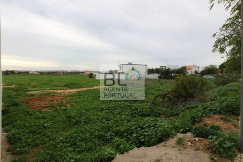 Terra a Conceicao e Estoi, Faro, Conceicao e Estoi - € 205.000 | Ref: BLMTRPAR_181 - foto 3