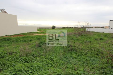 Terra a Conceicao e Estoi, Faro, Conceicao e Estoi - € 205.000 | Ref: BLMTRPAR_181 - foto 4