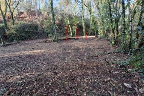 Helårsgrund i Arcos de Valdevez, Viana do Castelo, Arcos de Valdevez - € 19.000 | Ref: FM1070 - foto 4