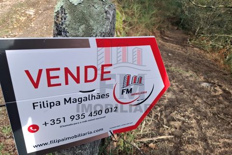 Helårsgrund i Arcos de Valdevez, Viana do Castelo, Arcos de Valdevez - € 19.000 | Ref: FM1070 - foto 6