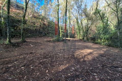 Helårsgrund i Arcos de Valdevez, Viana do Castelo, Arcos de Valdevez - € 19.000 | Ref: FM1070 - foto 8