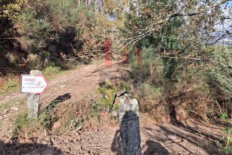 Helårsgrund i Arcos de Valdevez, Viana do Castelo, Arcos de Valdevez - € 19.000 | Ref: FM1070 - foto 12