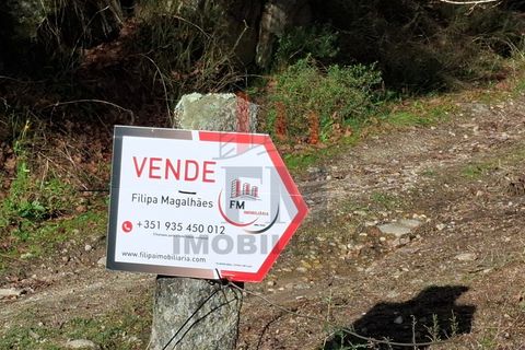 Helårsgrund i Arcos de Valdevez, Viana do Castelo, Arcos de Valdevez - € 19.000 | Ref: FM1070 - foto 13