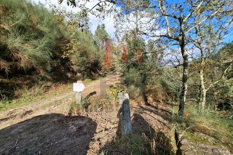 Helårsgrund i Arcos de Valdevez, Viana do Castelo, Arcos de Valdevez - € 19.000 | Ref: FM1070 - foto 15