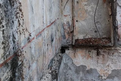 Villa i Menton, Alpes-Maritimes, Menton - € 120.000 | Ref: 85476171 - foto 5