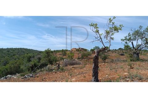 Helårsgrund i Paderne, Faro, Paderne - € 260.000 | Ref: TER_355-TR - foto 13