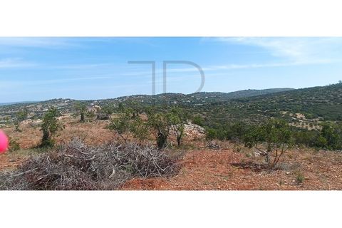 Helårsgrund i Paderne, Faro, Paderne - € 260.000 | Ref: TER_355-TR - foto 14