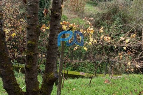 Villa i Resende, Viseu, Resende - € 35.000 | Ref: PROMAG#198 - foto 30