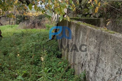 Villa i Resende, Viseu, Resende - € 35.000 | Ref: PROMAG#198 - foto 31