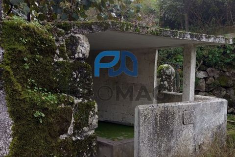 Villa i Resende, Viseu, Resende - € 35.000 | Ref: PROMAG#198 - foto 34
