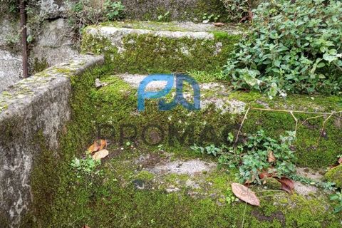 Villa i Resende, Viseu, Resende - € 35.000 | Ref: PROMAG#198 - foto 38