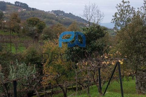 Villa i Resende, Viseu, Resende - € 35.000 | Ref: PROMAG#198 - foto 39