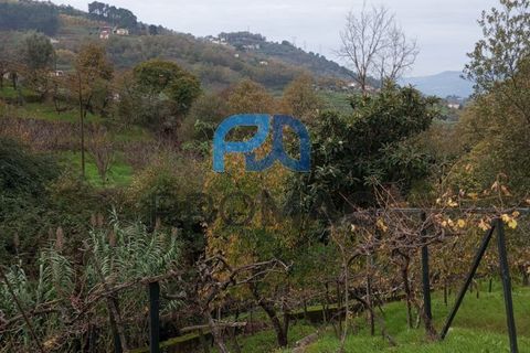 Villa i Resende, Viseu, Resende - € 35.000 | Ref: PROMAG#198 - foto 42