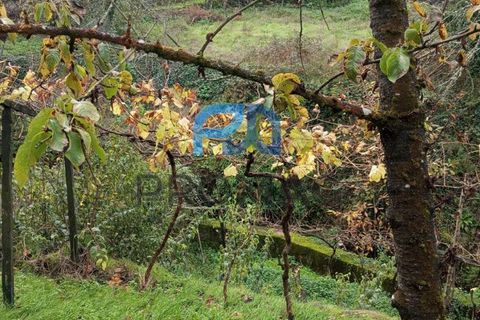 Villa i Resende, Viseu, Resende - € 35.000 | Ref: PROMAG#198 - foto 45