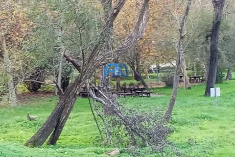 Villa i Resende, Viseu, Resende - € 35.000 | Ref: PROMAG#198 - foto 49