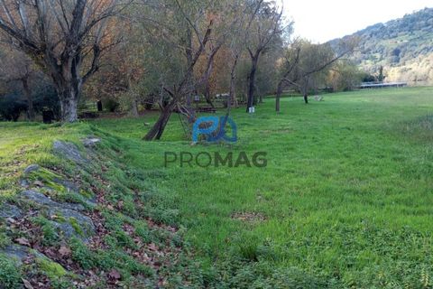 Villa i Resende, Viseu, Resende - € 35.000 | Ref: PROMAG#198 - foto 50