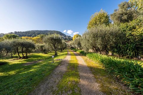 Landejendom i Grasse, Alpes-Maritimes, Grasse - € 2.330.000 | Ref: 85473066 - foto 7