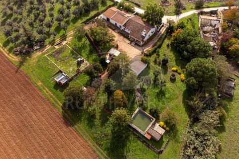Granja a Borba, Evora, Borba - € 600.000 | Ref: 2492 - foto 2