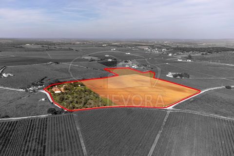 Granja a Borba, Evora, Borba - € 600.000 | Ref: 2492 - foto 3