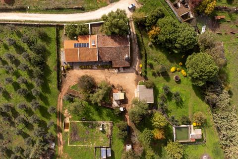 Granja a Borba, Evora, Borba - € 600.000 | Ref: 2492 - foto 24