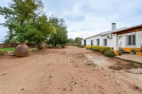Granja a Borba, Evora, Borba - € 600.000 | Ref: 2492 - foto 27