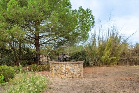 Granja a Borba, Evora, Borba - € 600.000 | Ref: 2492 - foto 28