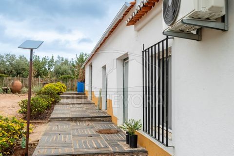 Granja a Borba, Evora, Borba - € 600.000 | Ref: 2492 - foto 29