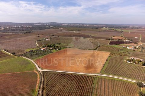 Granja a Borba, Evora, Borba - € 600.000 | Ref: 2492 - foto 35