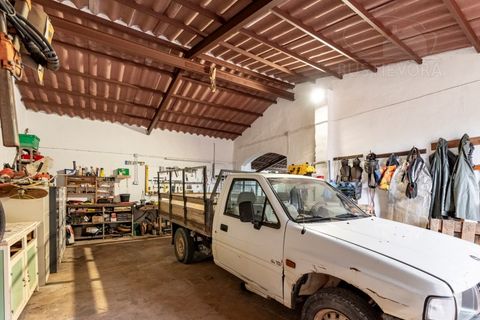 Granja a Borba, Evora, Borba - € 600.000 | Ref: 2492 - foto 42