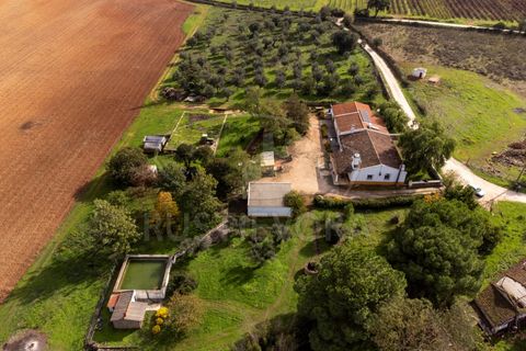 Granja a Borba, Evora, Borba - € 600.000 | Ref: 2492 - foto 44